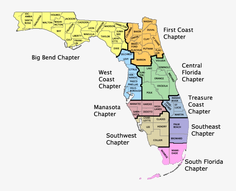 Chapters - Map Of Florida Environment - Free Transparent PNG Download ...