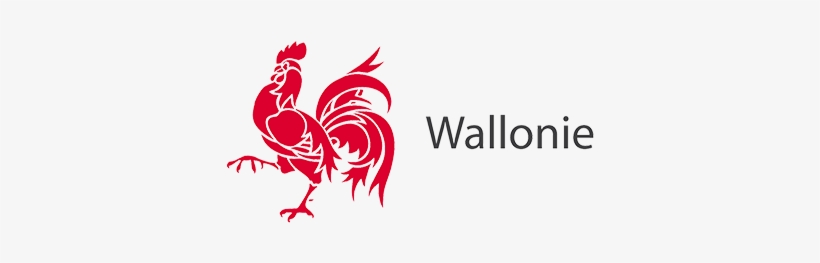 Logo Wallonie - Free Transparent PNG Download - PNGkey