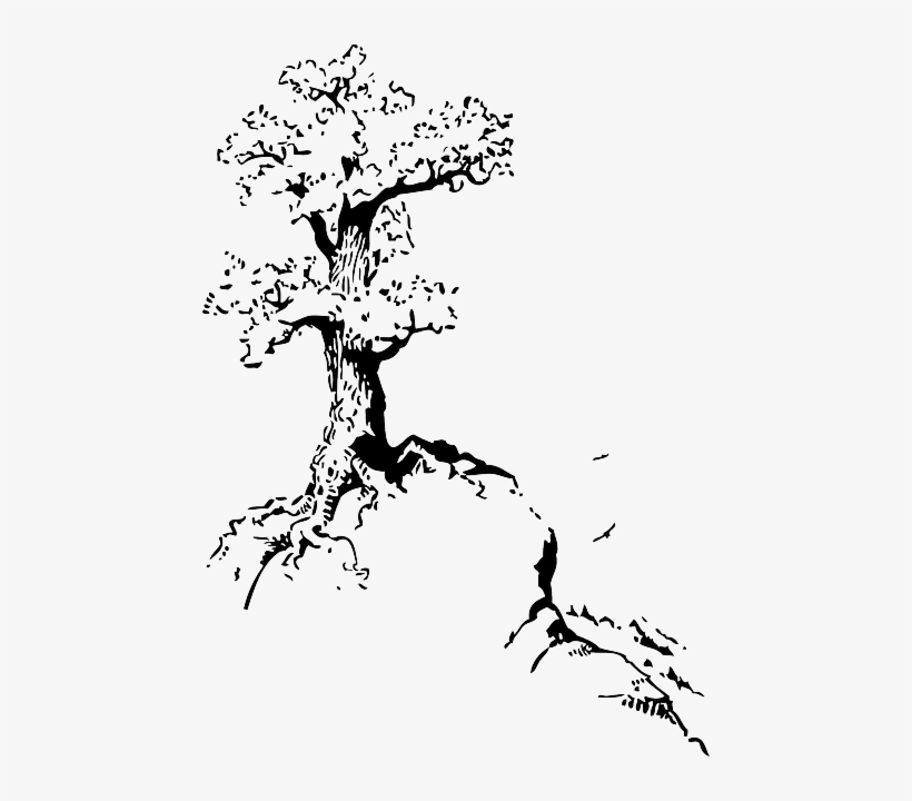 Black, Top, Outline, Silhouette, Tree, Roots, White - Tree On Hill Drawing, transparent png #272133