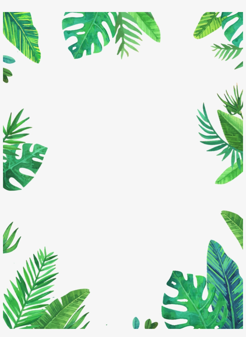 Tropical Leaves Border Design Png : Psd files, png images, clipart