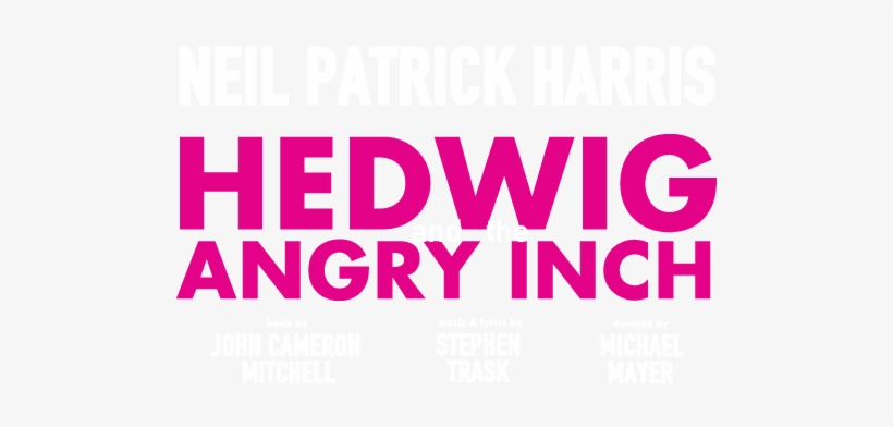Neil Patrick Harris In Hedwig And The Angry Inch On - Series Of Unfortunate Events Librarian, transparent png #2730766