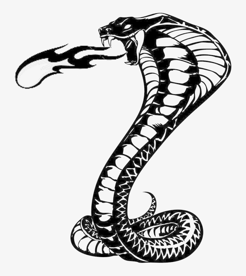 470+ Free Download Snake Tattoo Png Idea Tattoo