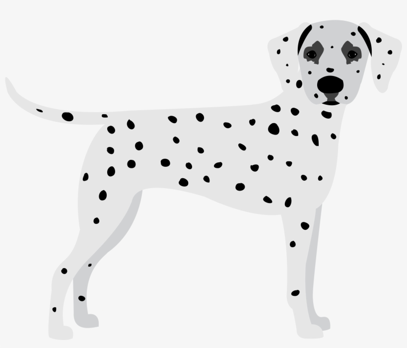 Dalmatian - Free Transparent PNG Download - PNGkey