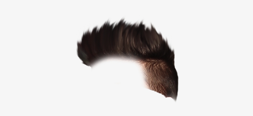 Transparent Background Free Hair Roblox Boy