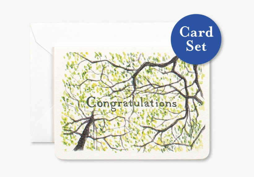 Congratulations Gleditsia Mini Card Set Of - Etsy, transparent png #2836599