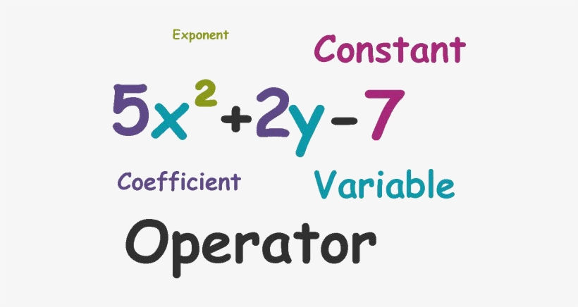 Parts Of Polynomial - Variable In A Polynomial - Free Transparent PNG ...