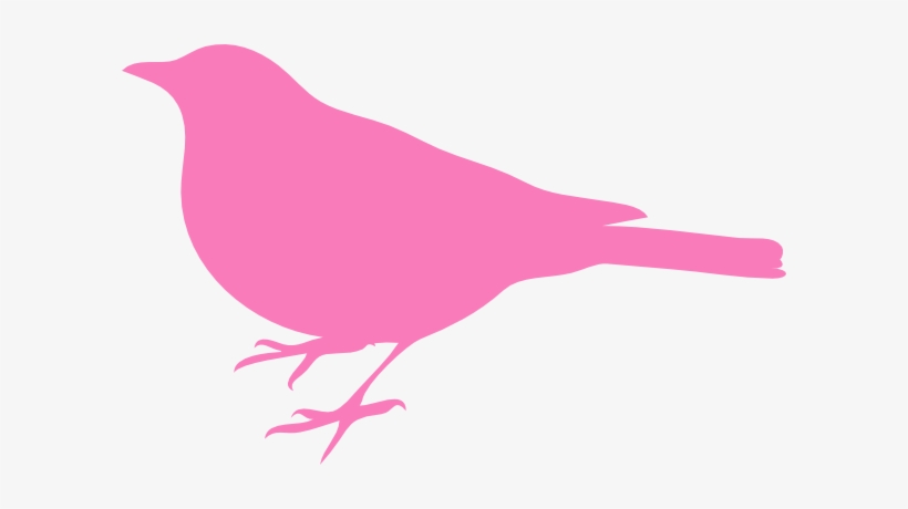 Download Pink Bird Silhouette Svg Clip Arts 600 X 380 Px Free Transparent Png Download Pngkey