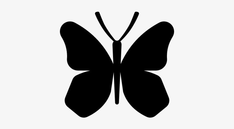 Butterfly Wings Vector Butterfly Silhouette Rounded Wings Free Transparent Png Download Pngkey