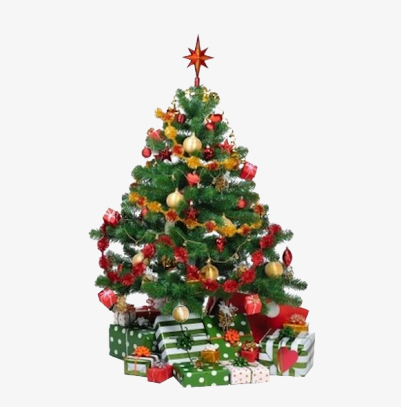 Christmas Pine Cones, Christmas Tree Care, Beautiful - Animated Moving Christmas Tree, transparent png #2973786