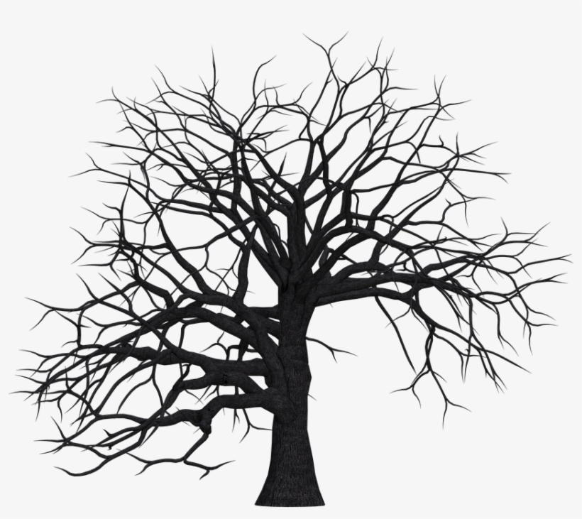 Free Tree No Leaves Silhouette, Download Free Tree No Leaves Silhouette png  images, Free ClipArts on Clipart Library