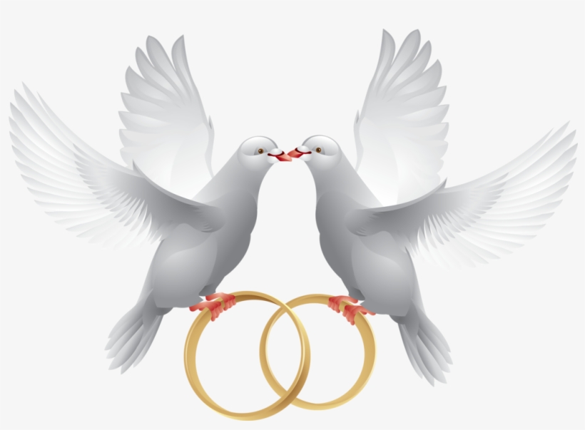 Marriage Clipart Dove - Wedding Ring With Dove - Free Transparent PNG ...