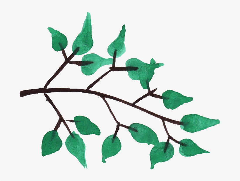 Watercolor Branch Png - Watercolor Tree Branches Png, transparent png #34340