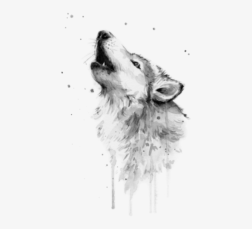 Click And Drag To Re-position The Image, If Desired - Wolf Watercolor, transparent png #36102