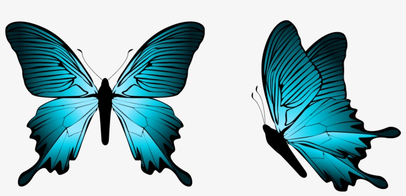 8 - Butterfly Png - Free Transparent PNG Download - PNGkey