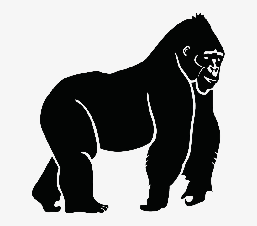 Free Vector Graphic - Gorilla Silhouette - Free Transparent PNG ...
