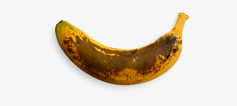 Bbq - Bananas Great Food For Pre And Post Workout, transparent png #302393