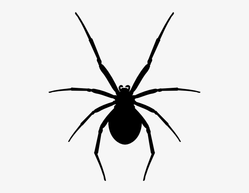 Katipo-silhouette - Katipo Spider New Zealand - Free Transparent PNG ...