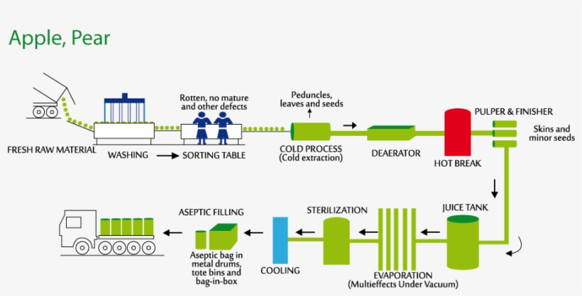 Procesos - Diagram - Free Transparent PNG Download - PNGkey