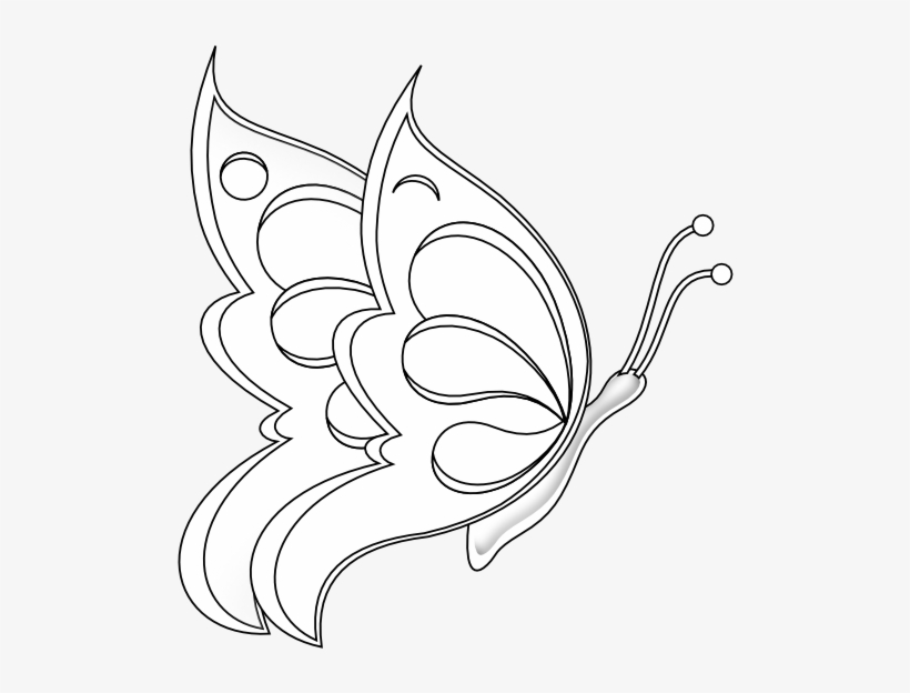 Lots of tips for sketching butterflies | Julia Bausenhardt