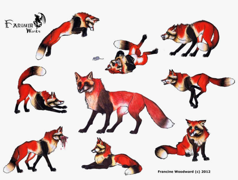 Large Size Of Fox Girl Drawing Easy Cute Step By Anime - Cat And Wolf  Drawings - Free Transparent PNG Download - PNGkey