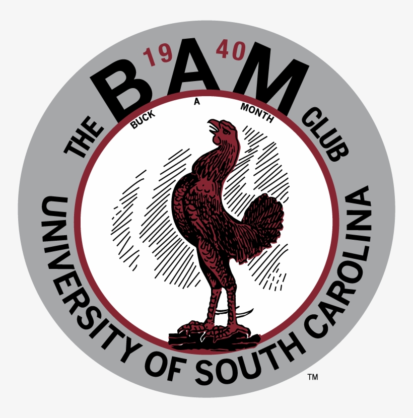 The Hand Drawn Gamecocks Are Usually From Programs - South Carolina Gamecocks, transparent png #3072065
