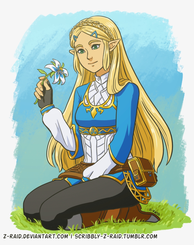 Botw Princess Zelda Design