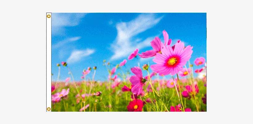 Spring Flowers Flag - Online Stores 3ft X 5ft Decorative Flag - Pink Flowers, transparent png #312459