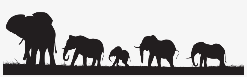 Herd Of Elephants Silhouette - Free Transparent PNG Download - PNGkey