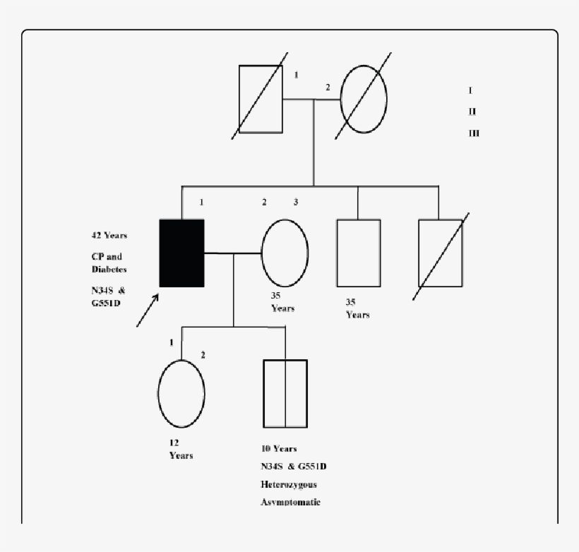 Square - Male - Circle - Female - Dark Shade - - Diagram - Free ...