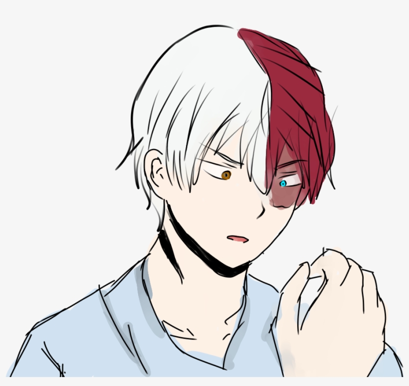 Todoroki - Cartoon - Free Transparent PNG Download - PNGkey