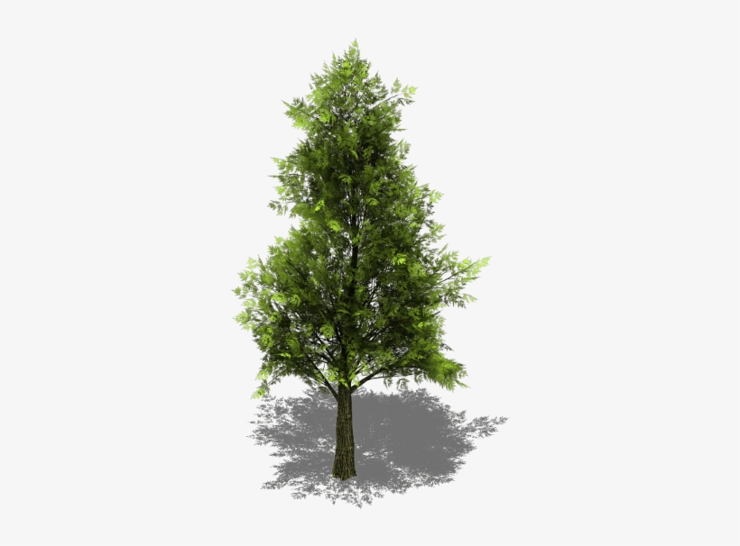 Preview - Tree Sprite - Free Transparent PNG Download - PNGkey