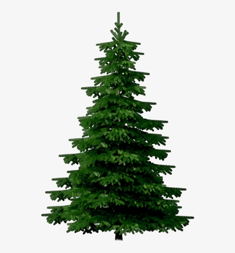 Crop Tree Png - Merry Christmas Christmas Festival, transparent png #3190586