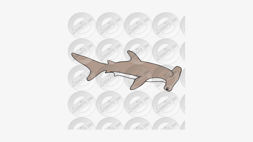 Free Free 279 Clipart Hammerhead Shark Svg SVG PNG EPS DXF File