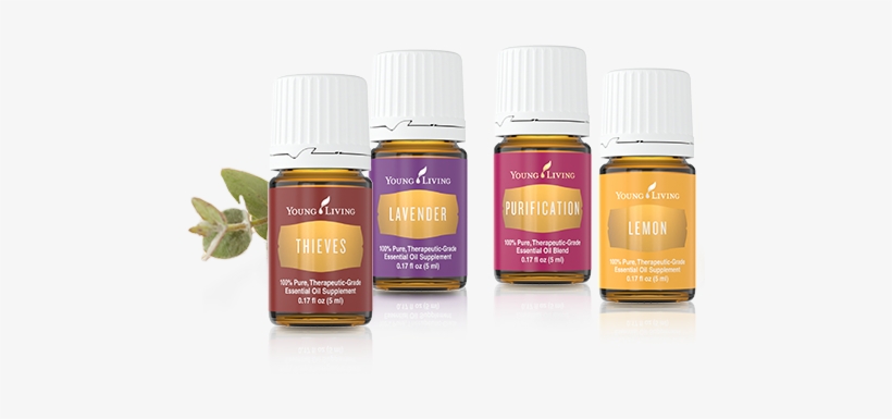 young living essential oils young living essential oils png free transparent png download pngkey young living essential oils png