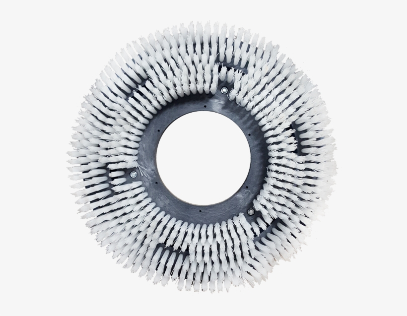 Nylon Brush - Circle - Free Transparent PNG Download - PNGkey