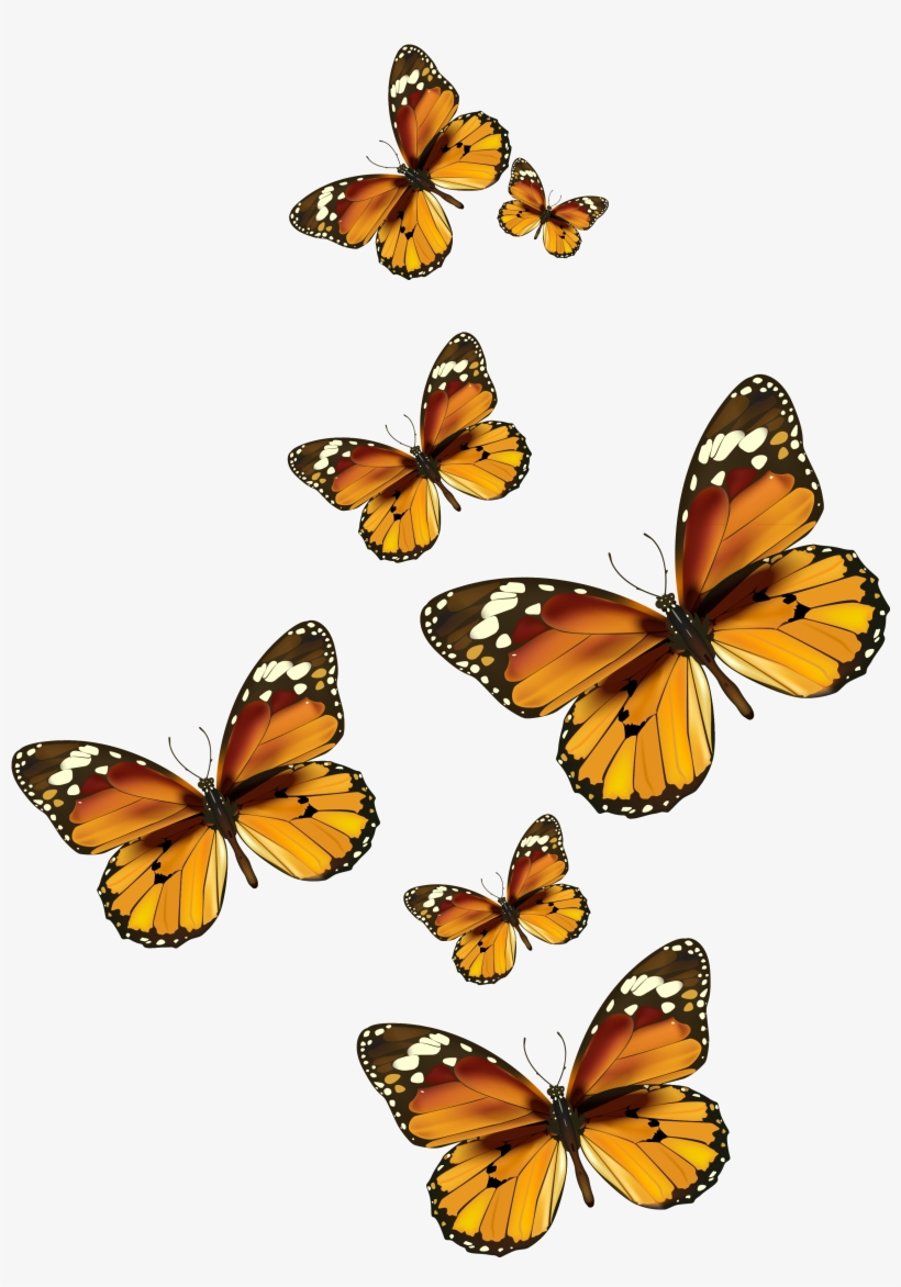 Download Butterflies Vector Png Clipart Pictureu200b Gallery ...