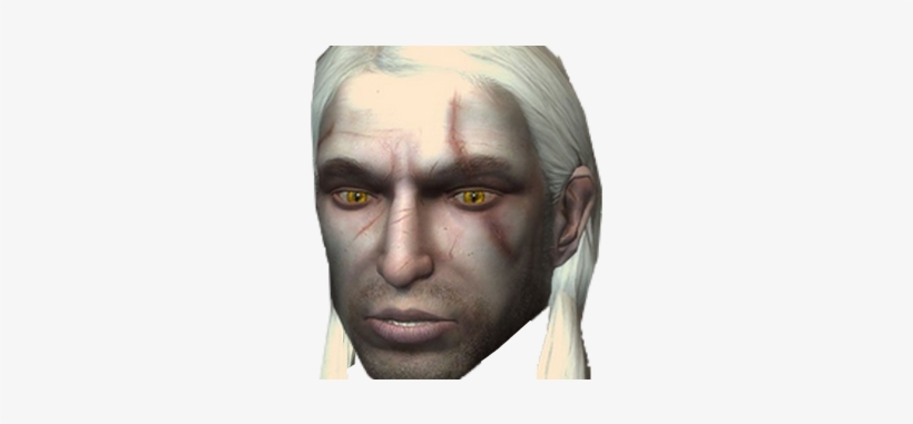 THE WITCHER 1 (2007) TW1 Geralt face (updated) at The Witcher 3