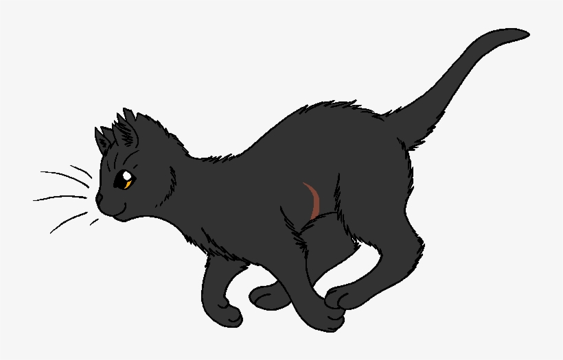 Slate Warrior Cats Coloring Pages Free Transparent Png Download Pngkey