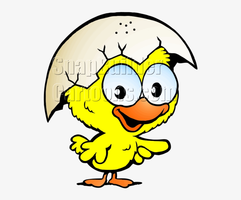 Chicken Pointing, transparent png #3345657