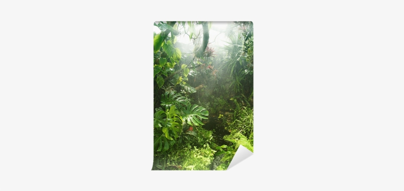 papier peint style foret tropical free transparent png download pngkey pngkey