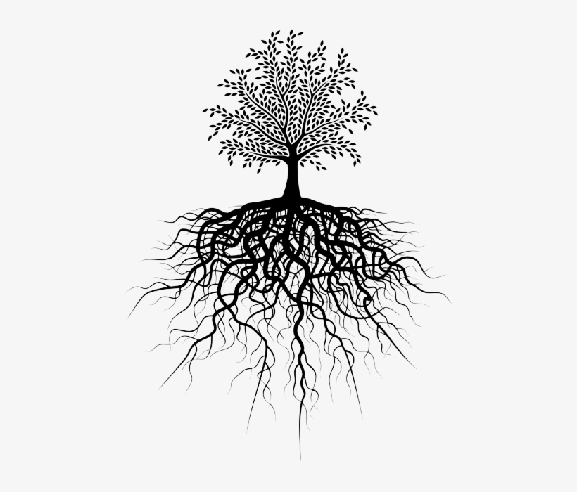 tree roots png transparent tree of life free transparent png download pngkey tree roots png transparent tree of