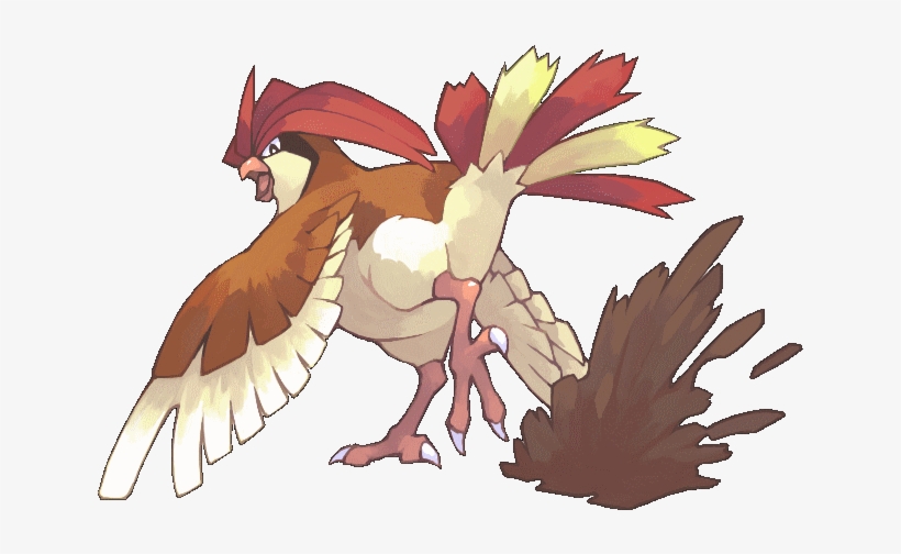 P Pidgeotto We Are Proud Of You ピジョン ポケモン Free Transparent Png Download Pngkey