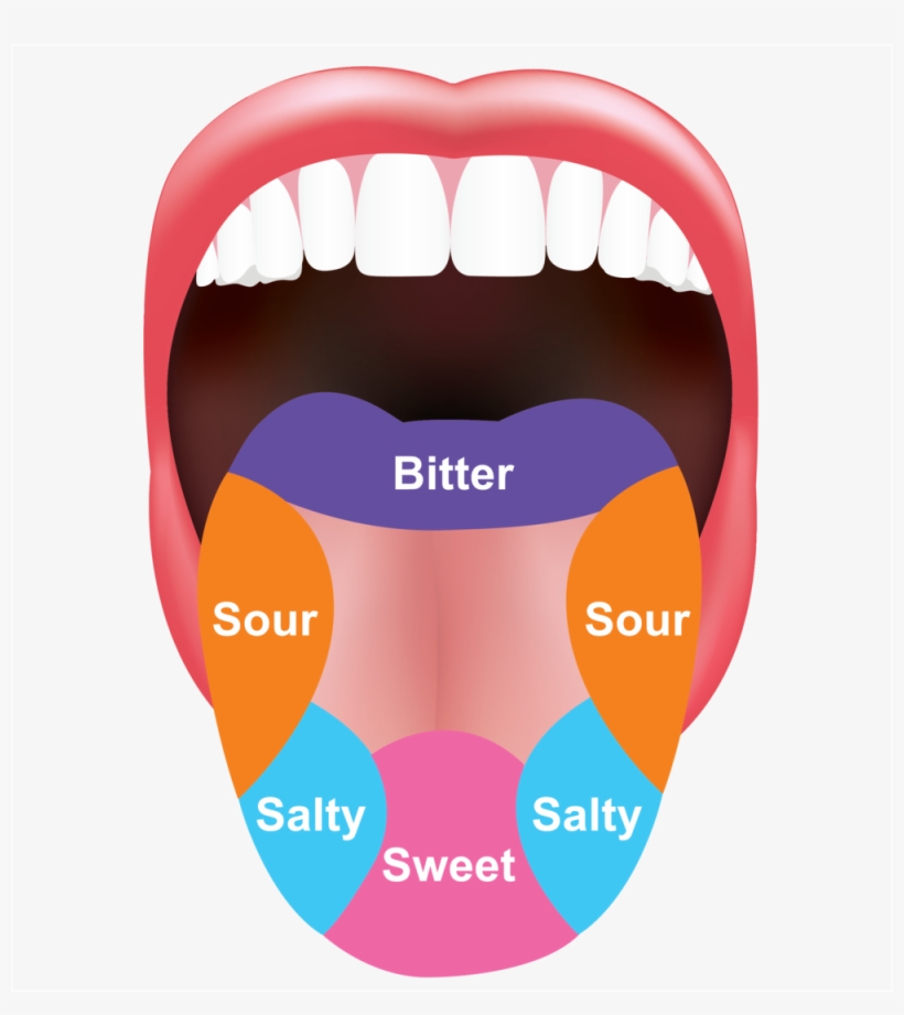 H2 Tongue - Tongue Graphic - Free Transparent PNG Download - PNGkey