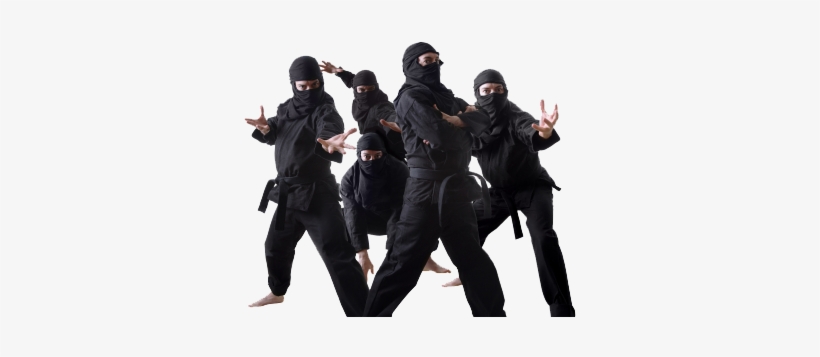 Are You A Ninjaneer Wait Hold Up Let Me Define What Group Of Ninjas Free Transparent Png Download Pngkey