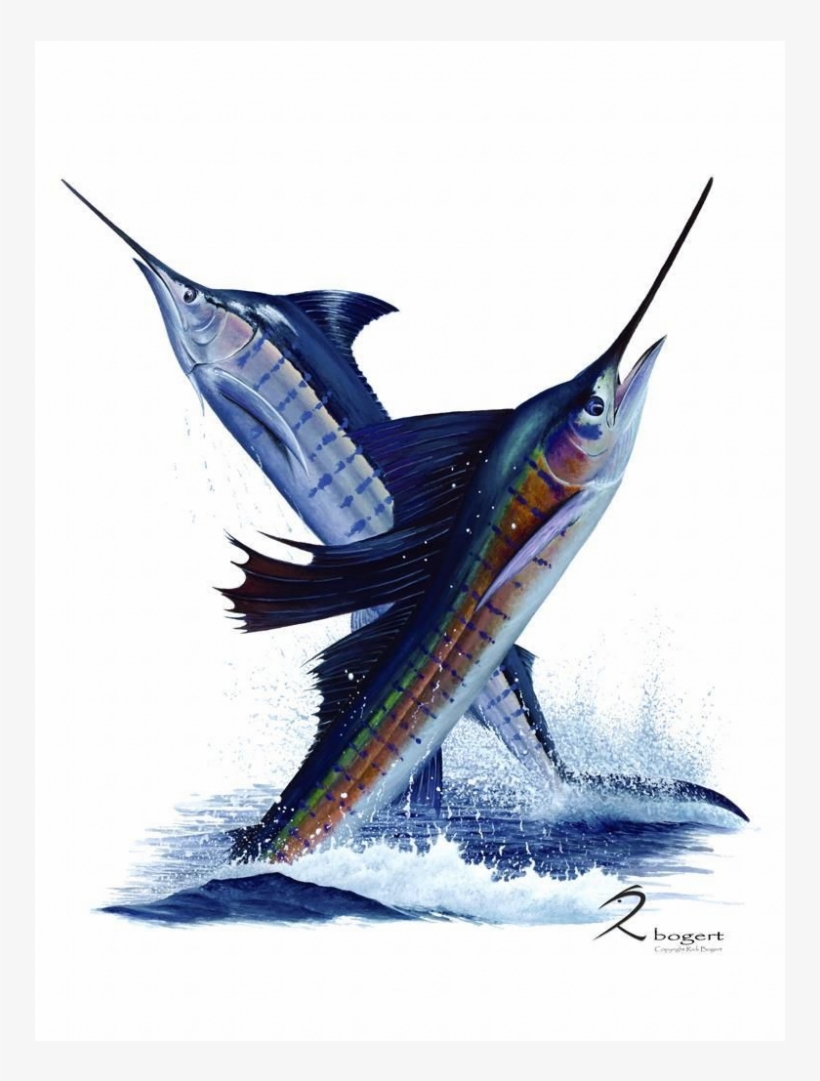 Sailfish - Free Transparent PNG Download - PNGkey