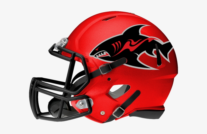 With The Nal, Afl, Ifl, And Cif The Competition For - South Carolina Gamecocks Football Helmets, transparent png #3558948