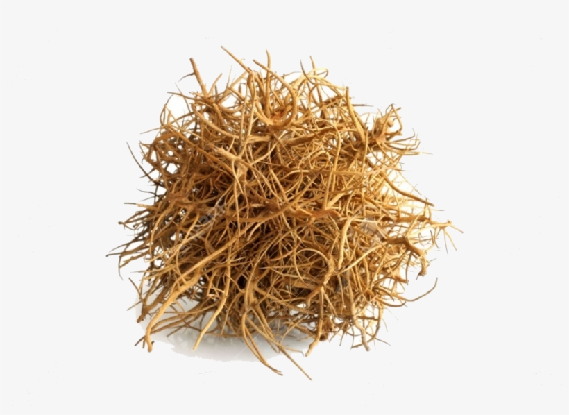 Tumbleweed On White Background - Free Transparent PNG Download - PNGkey