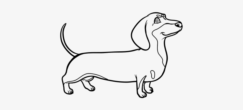 Perro Salchicha Para Pintar - Free Transparent PNG Download - PNGkey