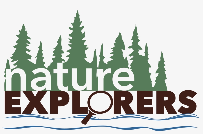 Nature Clipart Explorer - Illustration - Free Transparent PNG Download ...