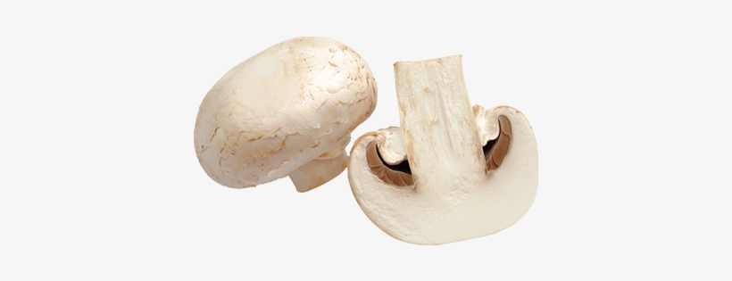 champignon png free transparent png download pngkey champignon png free transparent png